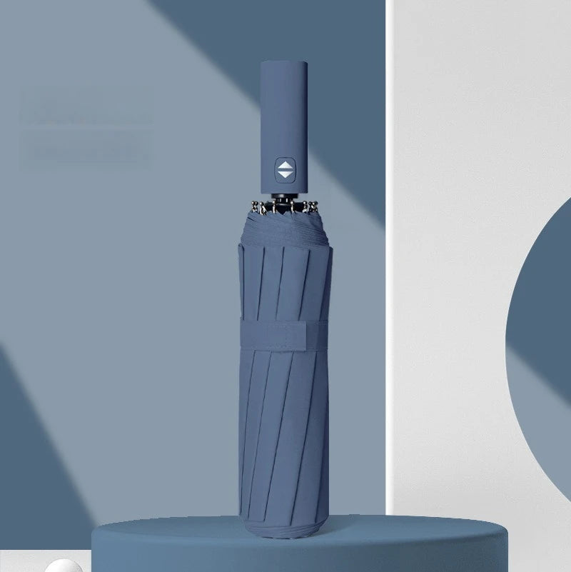 12 Bone Morandi Fully Automatic Travel Umbrella