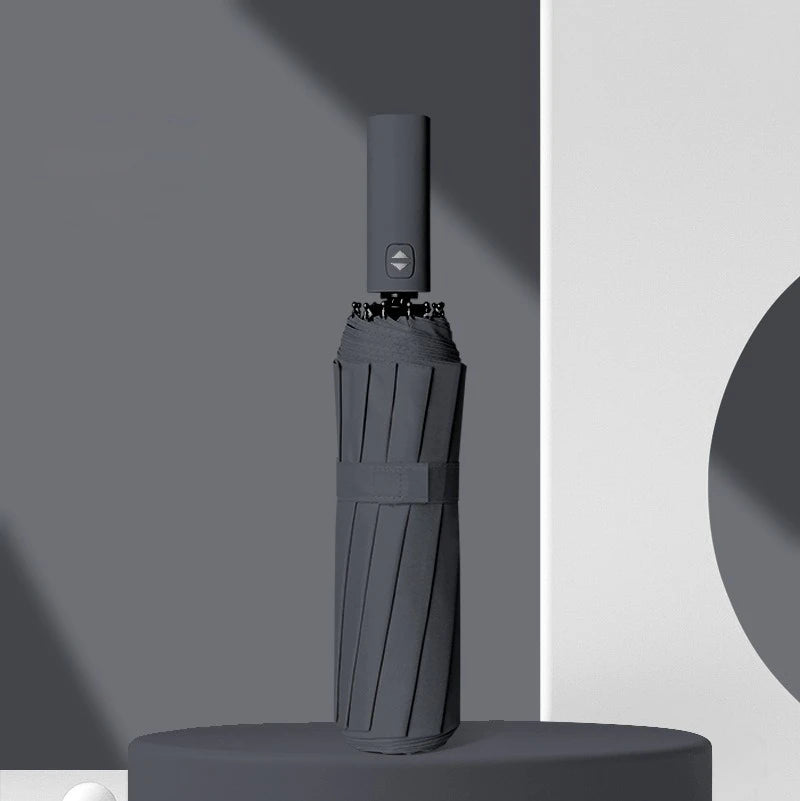 12 Bone Morandi Fully Automatic Travel Umbrella