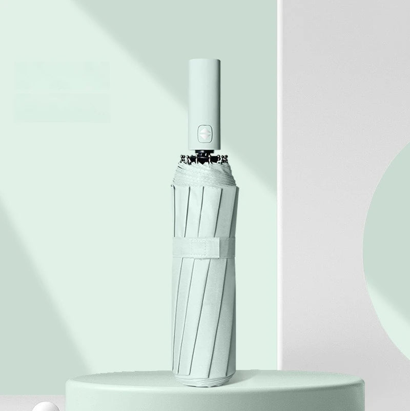 12 Bone Morandi Fully Automatic Travel Umbrella