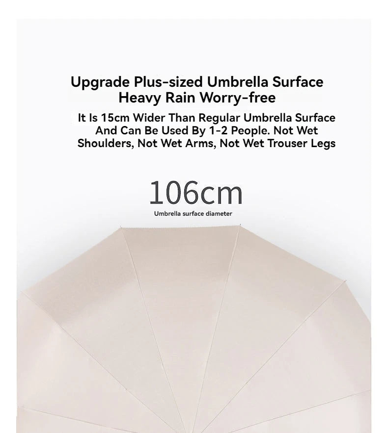 12 Bone Morandi Fully Automatic Travel Umbrella