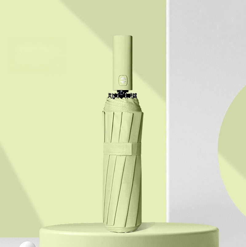12 Bone Morandi Fully Automatic Travel Umbrella