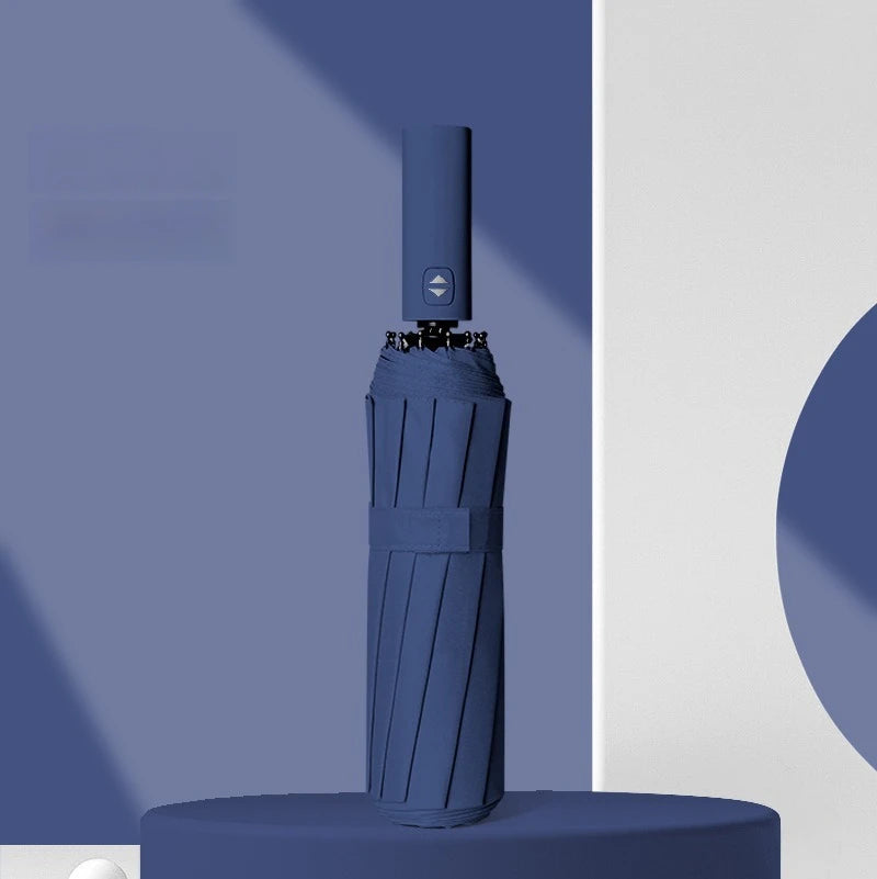 12 Bone Morandi Fully Automatic Travel Umbrella