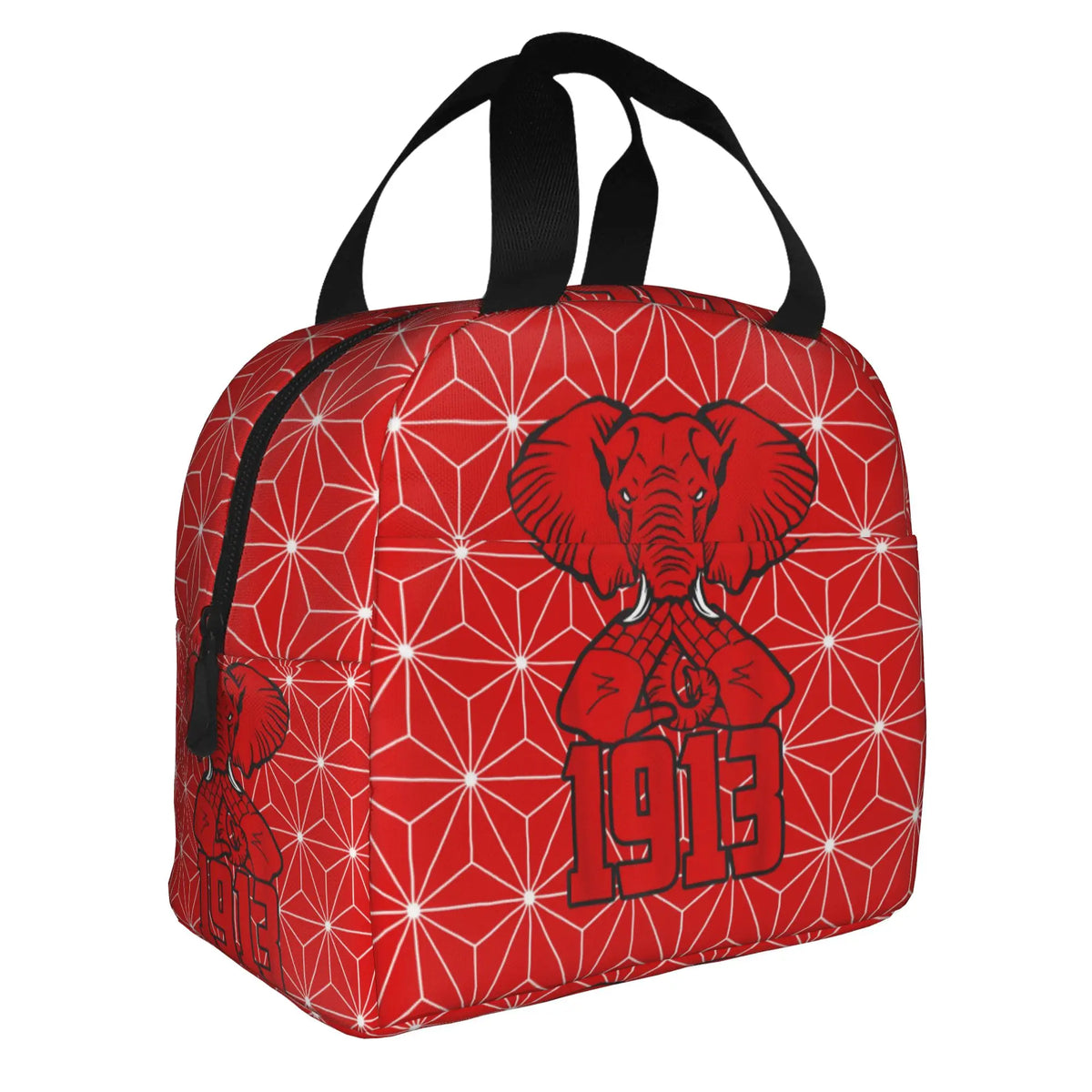 Deltas Sigmas Thetas 1913 DST Sorority Insulated Lunch Tote Bag for Women Portable Cooler Thermal Bento Box Work School Travel by Passport Outfitters