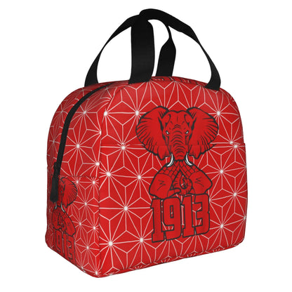 Deltas Sigmas Thetas 1913 DST Sorority Insulated Lunch Tote Bag for Women Portable Cooler Thermal Bento Box Work School Travel by Passport Outfitters