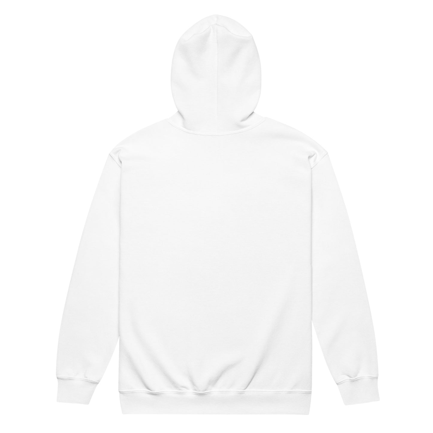 Puerto Rico Unisex zip hoodie by Passport Outfitters