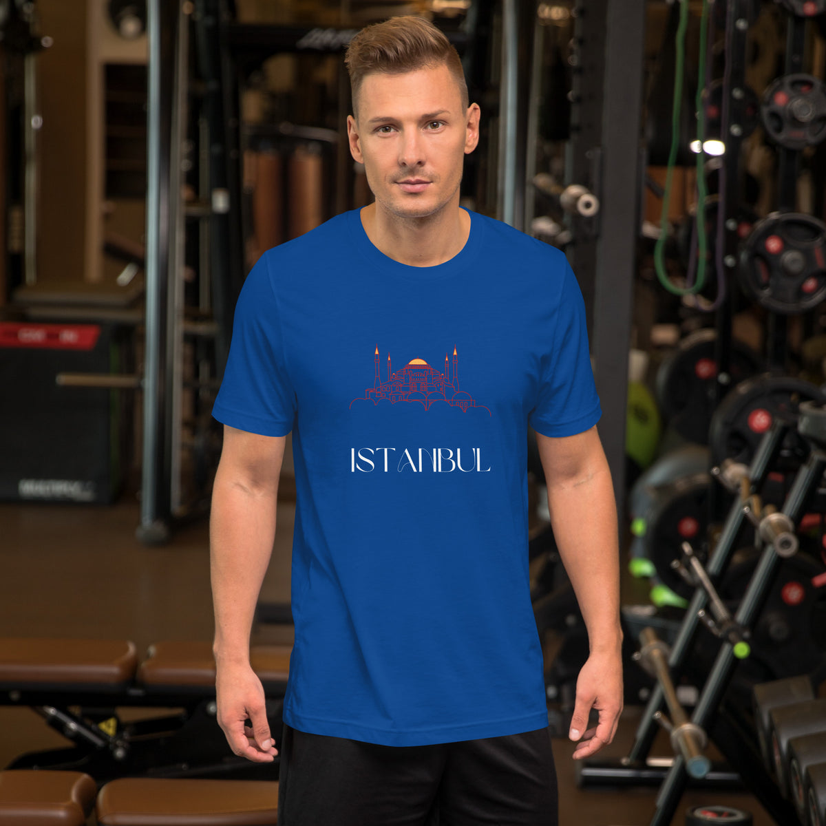 Istanbul Graphic T-Shirt | Hagia Sophia Skyline Travel Tee by Passport Outfitters